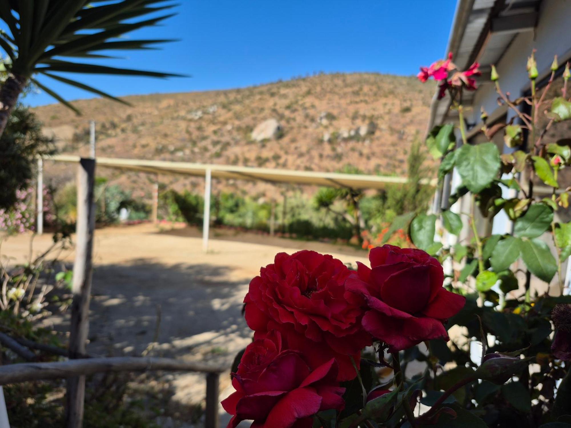 Hostal Los Almendros Canela Baja المظهر الخارجي الصورة